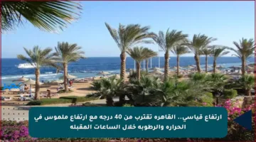 ارتفاع قياسي.. القاهرة تقترب من 40 درجة مع ارتفاع ملموس في الحرارة والرطوبة خلال الساعات المقبلة